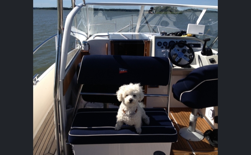 Nimbus 29 Nova-kuva-5